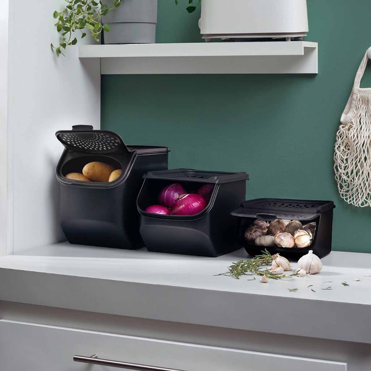 Контейнер «Свежесть» малый (2,3 л)