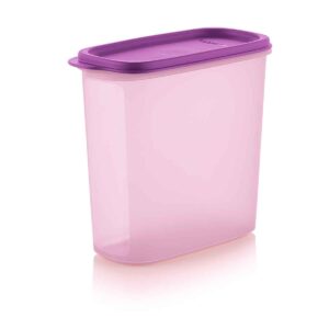 Компактус «Организатор» (1,7 л)