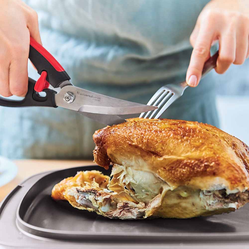 Ножницы «Диско» для птицы