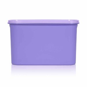 Супер-овальный компактус (2,8 л)